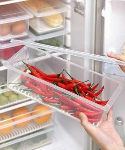 Container Fish (Set of 2)