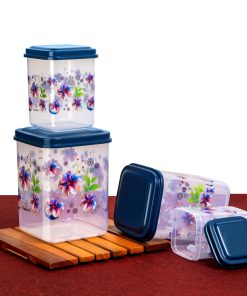 Container Store Well 4 PCS Set (250ML, 450ML, 800ML, 1000ML)