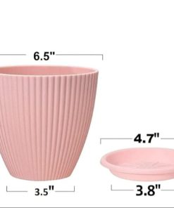 Porter Liner (Set Of 5) Pcs